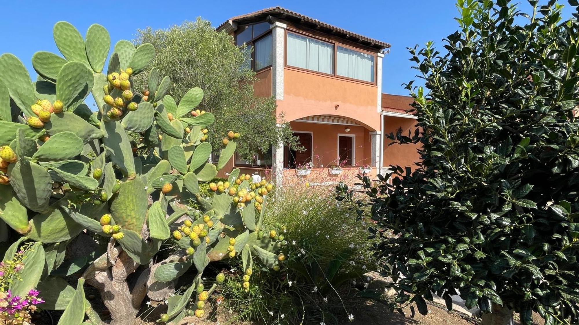 Sardegna - Villa Mirto & Flowers Olbia Kültér fotó